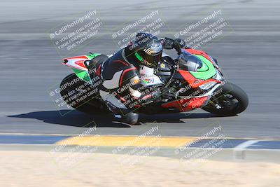 media/Feb-03-2024-SoCal Trackdays (Sat) [[767c60a41c]]/10-Turn 10 Inside (130pm)/